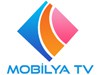 Mobilya Tv Bilgileri